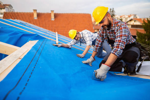 Professional Roofing Services in Andalusia, IL