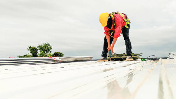 Steel Roofing in Andalusia, IL